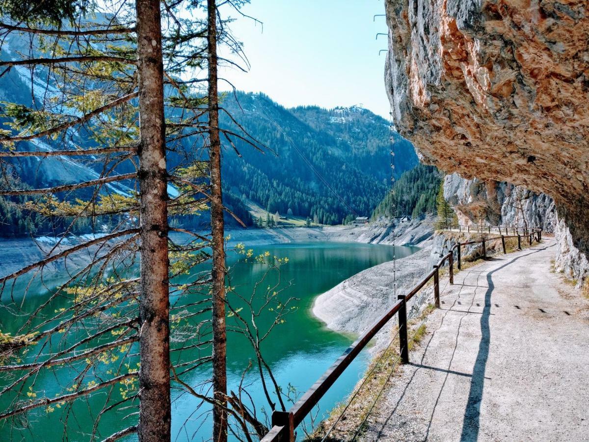 Pension Edelweiss Top 25 Gosau Exterior foto