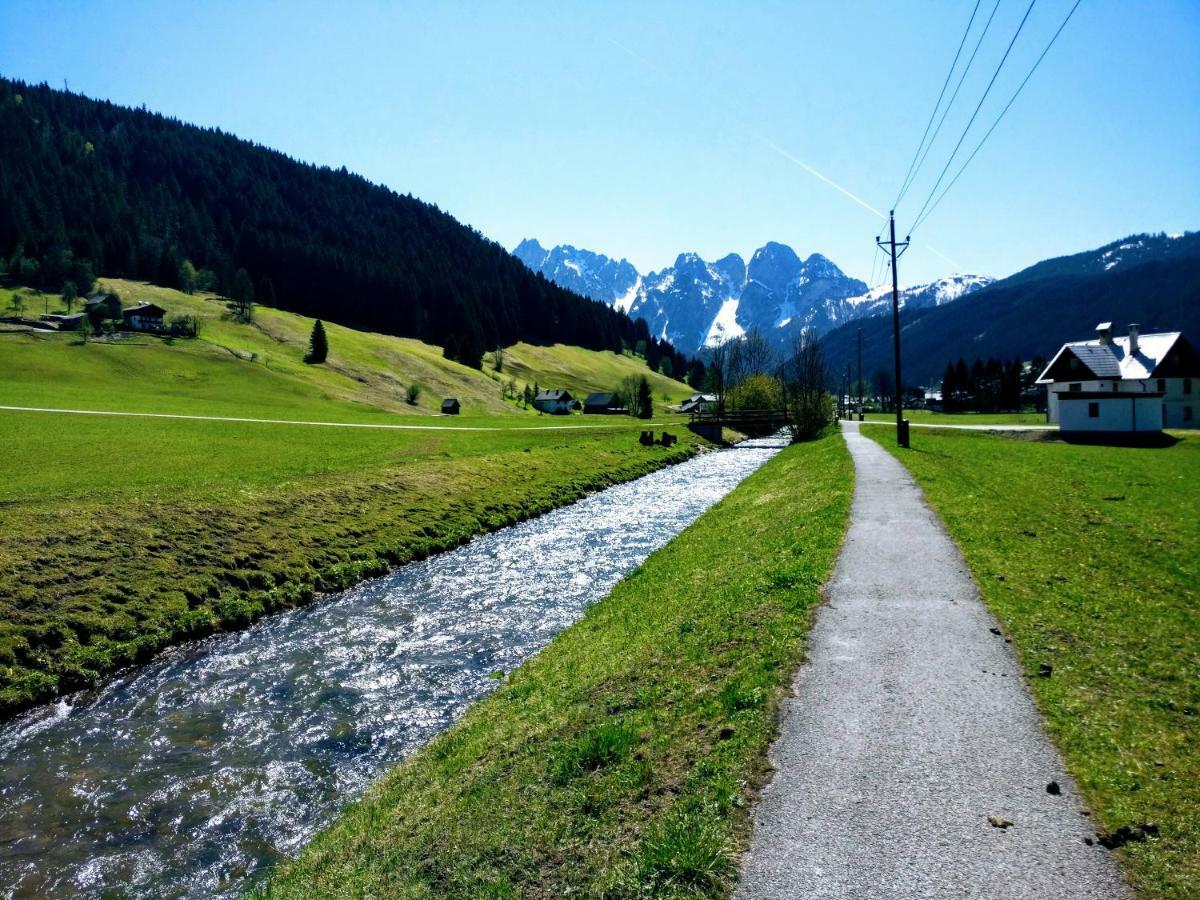 Pension Edelweiss Top 25 Gosau Exterior foto