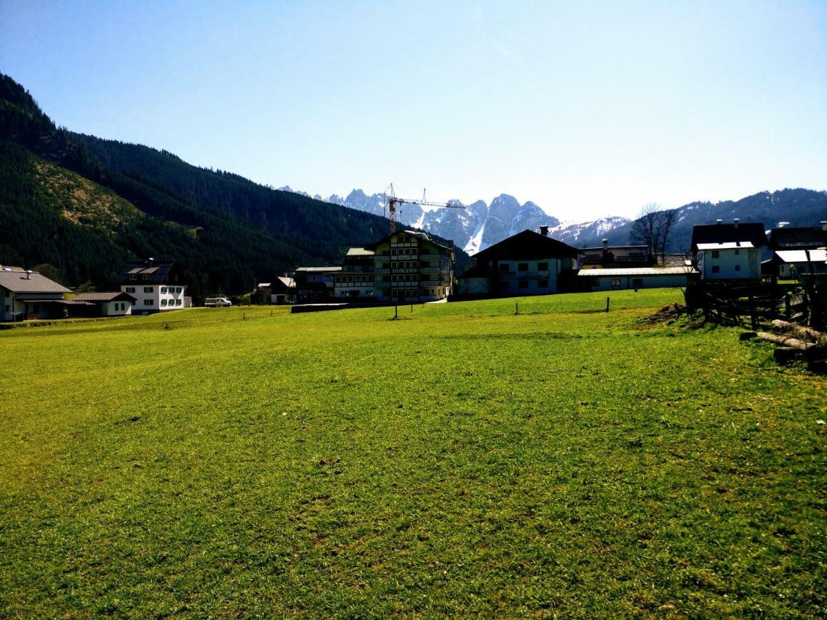 Pension Edelweiss Top 25 Gosau Exterior foto