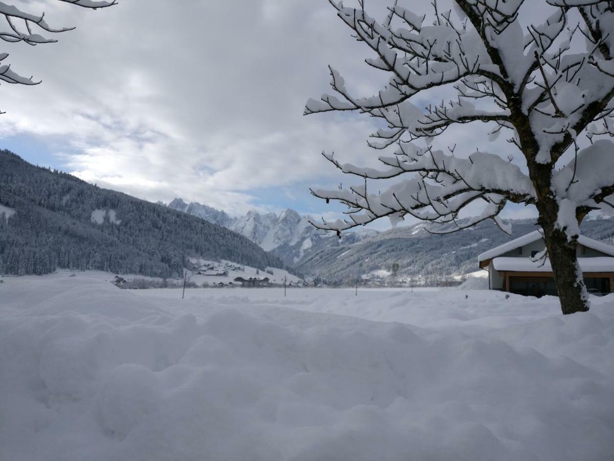 Pension Edelweiss Top 25 Gosau Exterior foto