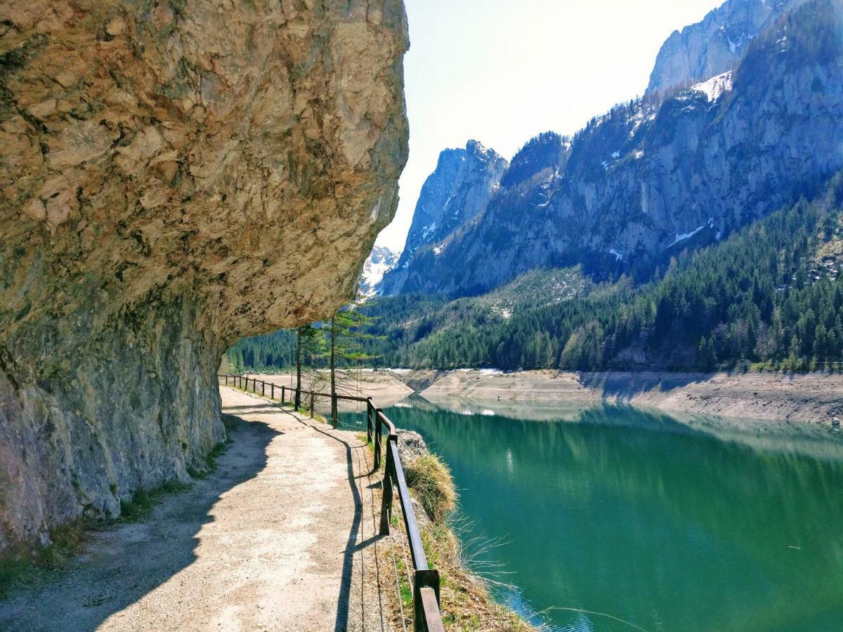 Pension Edelweiss Top 25 Gosau Exterior foto