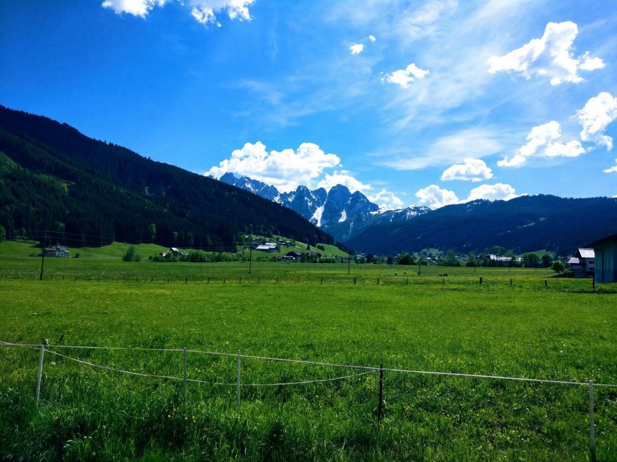Pension Edelweiss Top 25 Gosau Exterior foto