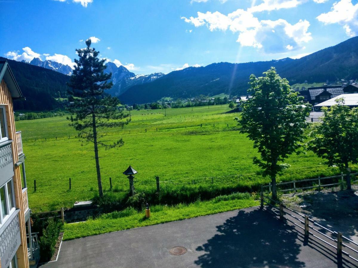 Pension Edelweiss Top 25 Gosau Exterior foto